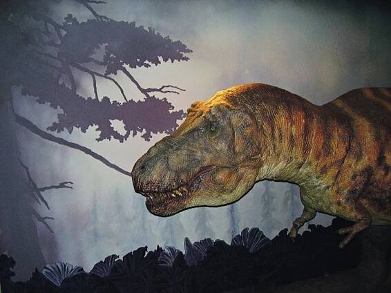 ABC dinosaurů: Král dravců Tyrannosaurus rex