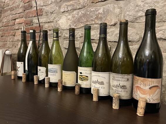 SAUVIGNONY ZE SANCERRE | Arhiv degustací