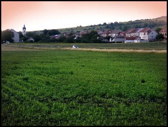 Corn field