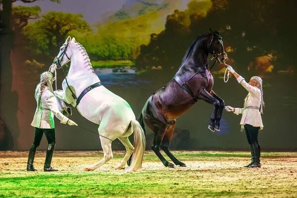 Show | CAVALLUNA - Tor zur Anderswelt - Tour 2025/26