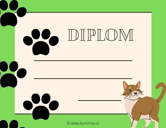 Diplomy ke stažení pro malého vítěze 3