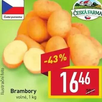 Billa Brambory nabídka