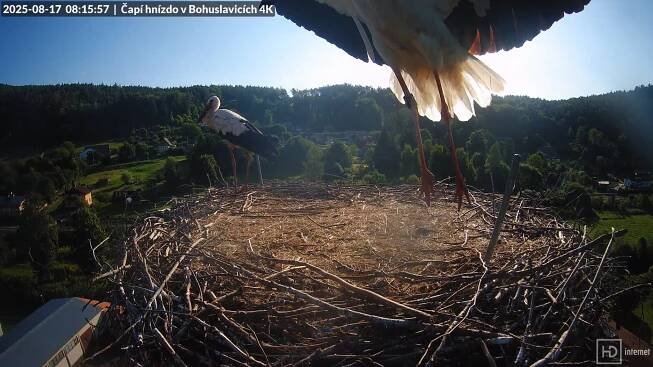 Z Trutnova do světa - Čapí hnízdo v Bohuslavicích