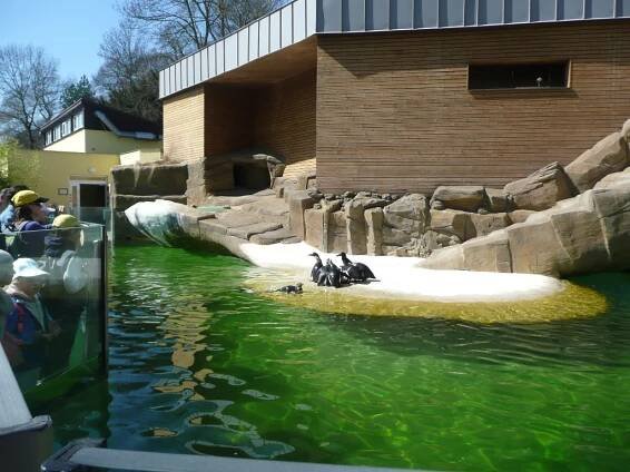 ZOO ÚSTÍ NAD LABEM