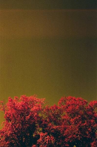 carl rickard