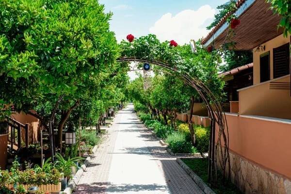 Ozlem Garden - Side - Pobytové - CK AFRODITA