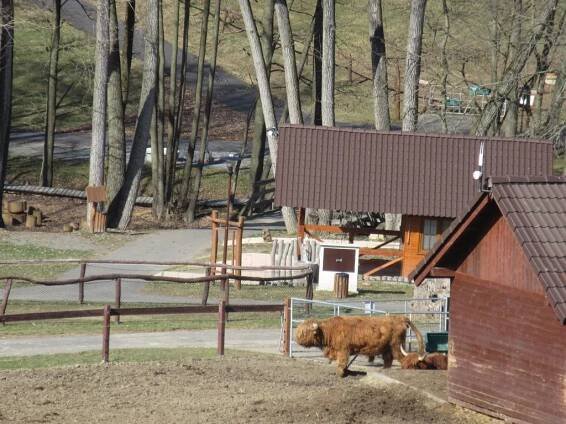 Rok 2017 - 2017/10 Farma Soběhrdy - Sanatorium Topas, s.r.o.