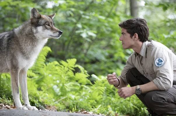 Der Ranger - Paradies Heimat - Wolfsspuren - Z filmu - Philipp Danne