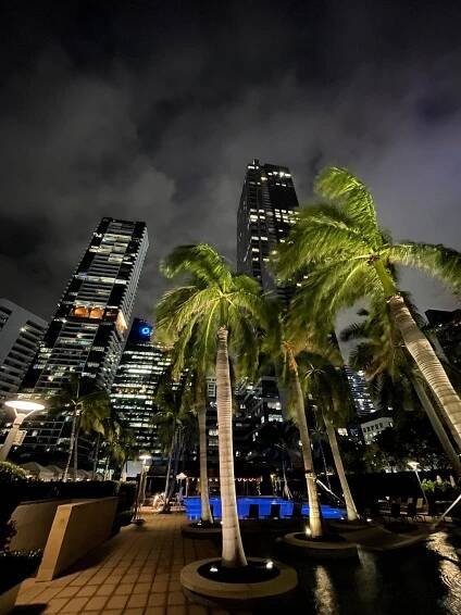 Four Seasons Hotel Miami Pool: Pictures & Reviews - Tripadvisor