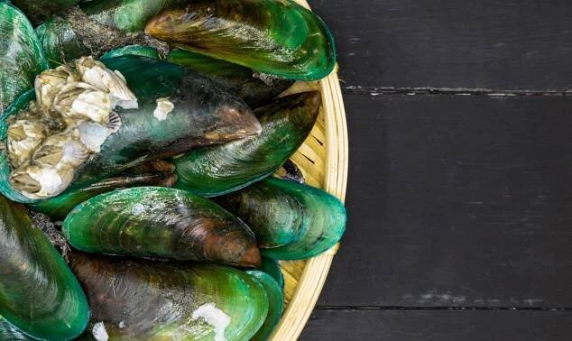 Slávka zelenoústá - dar od moře pro zdravé klouby - Vitamíny bez cenzury
