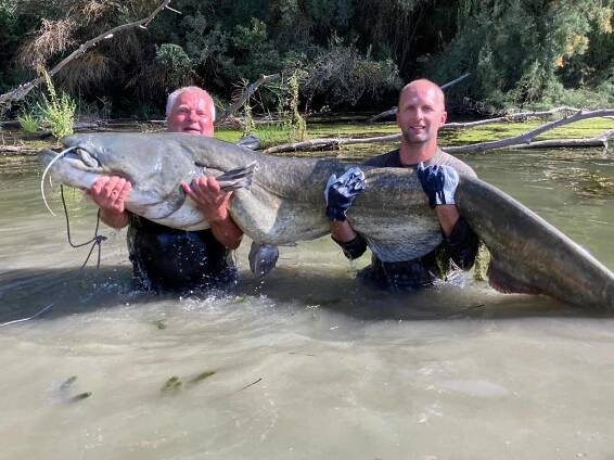 Obr, jménem sumec – Racho Rio Ebro – Rybolov ve Španělsku na řece Ebro