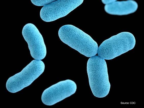 What is diphtheria? All we know about symptoms of the Victorian-era disease spreading across UK