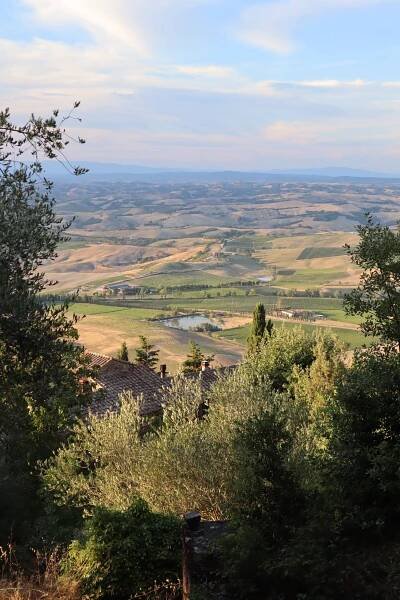 View of green crop fields from above