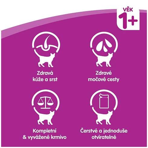 Whiskas kapsička Klasický výběr ve šťávě 12 x 85 g