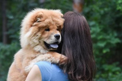 Hugging A Chow Chow