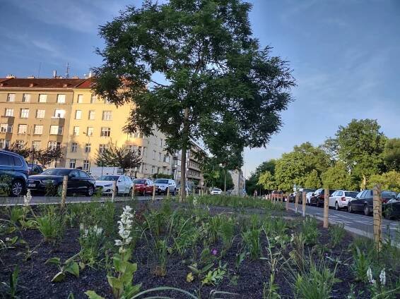 Zeleň v Praze - Správa a rozvoj zeleně ve správě TSK