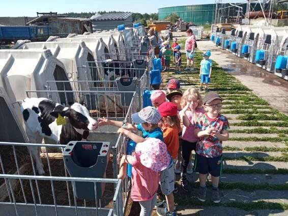 Výlet na farmu v Doubrávském dvoře – MŠ Úsov