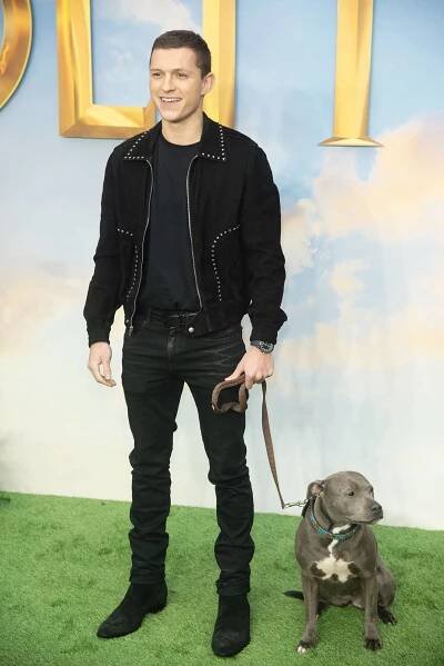Tom Holland