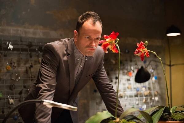 Jak prosté - Semínka nad zlato - Z filmu - Jonny Lee Miller
