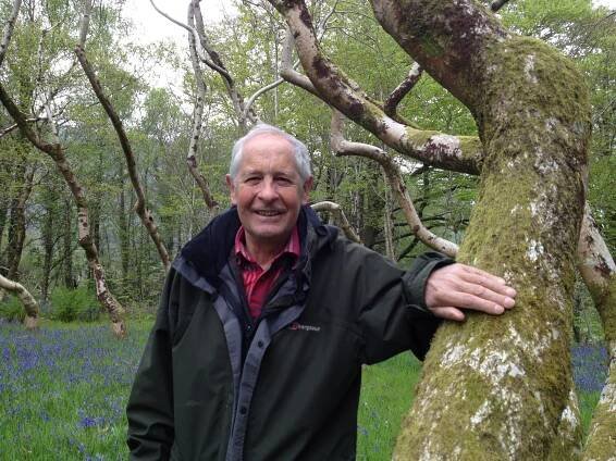 David Nash Case Study | iSOS - Sculpture Management
