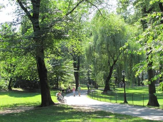 Central Park - sommer