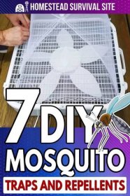 There's no need to buy sprays and candles to repel mosquitoes. These DIY traps are easy to make and sure to work. Indoor Mosquito Trap, Mosquito Traps, Natural Mosquito Repellant, Mosquito Repellent, Bat House Diy, Bug Trap, Natural Pesticides, Bug Killer