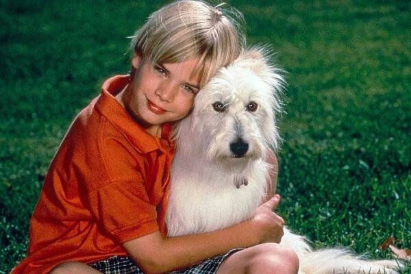 David Gallagher Says 7th Heaven Episode Where Dog Happy Gets Hit by a Car 'Was Really Heavy for Me'