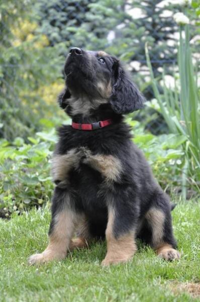 ARWEN – foto 29.5.2022