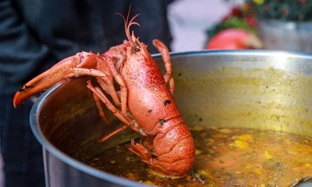 Mariánské Lázně provoní jídlo různých chutí, chystá se food festival