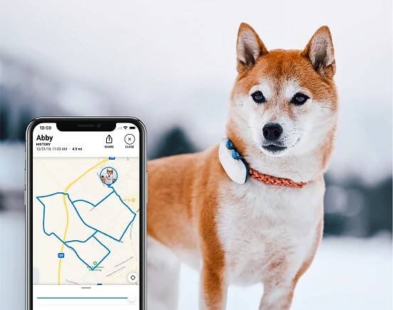 Tractive GPS DOG 4