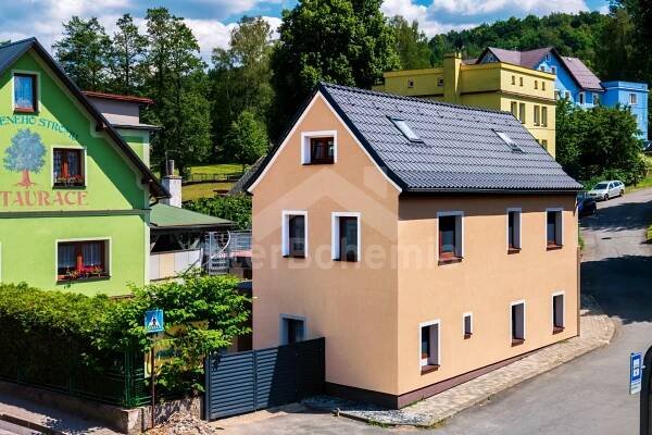 Ubytování Lázně Libverda, Vila Tess - Jizerské hory vila, 19965