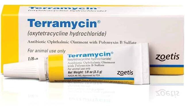 Terramycin® Antibiotic Ophthalmic Ointment 1/8 oz (3.5g) tube **RX**