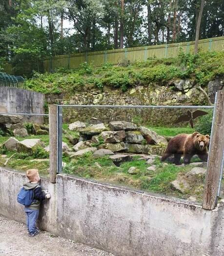 Červen - ZOO Děčín - Oficiální stránky MŠ Chotiměř