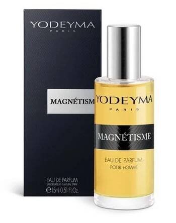 Magnétisme
