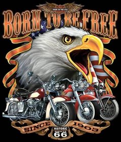 Obrázek produktu Pánské tričko Route 66 Born to Be Free Narozen Svobodný