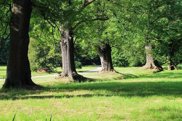 Průhonický park - Průhonice, Hlavní město Praha | Regiontourist.cz