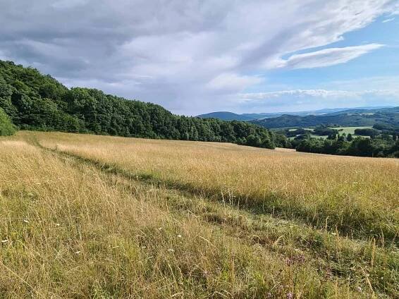 MD25 – 4. ÚSEK; PULČÍN – BŘECLAV (560.KM – 790.KM) – Ultrabikers CUP