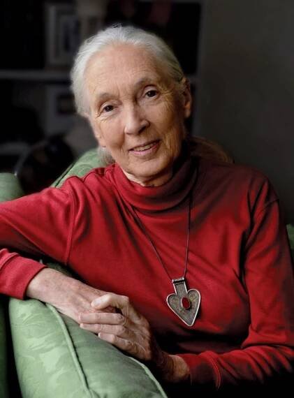 Jane Goodall