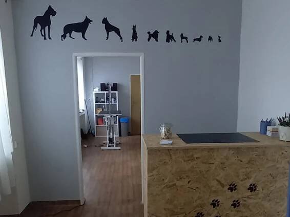 Galerie - Psí Salon MIA | Dobříš