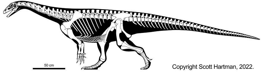 GEOL 104 Sauropodomorpha: Size Matters!