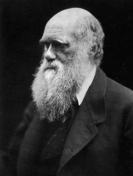 Darwinova cena