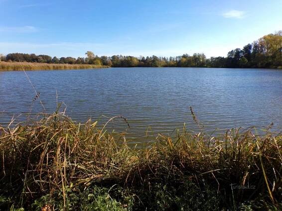 Rybník Medříč (Smidary, 24.10.2021)