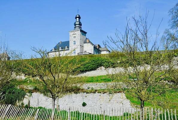 Vignoble | Château de Fumal - Vignoble belge