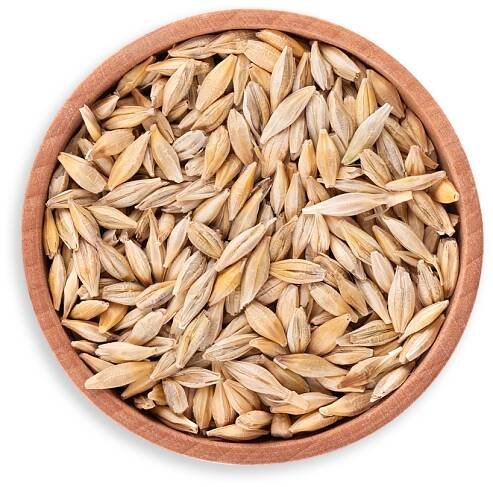 barley