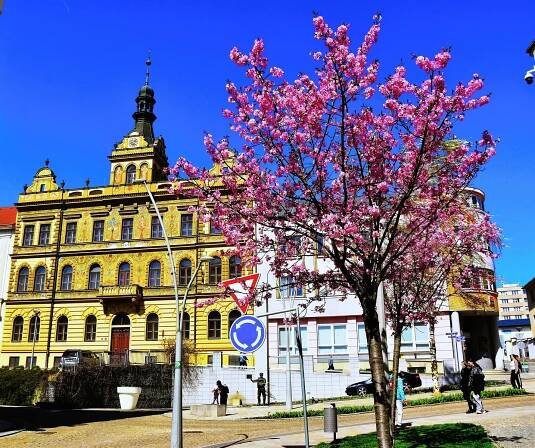 OBRAZEM: Jaro v ulicích. Květiny rozzářily Strakonice, Vodňany i další města
