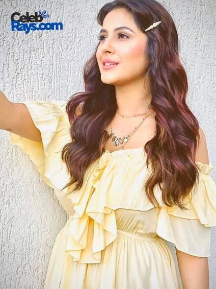Shehnaaz Gill singer