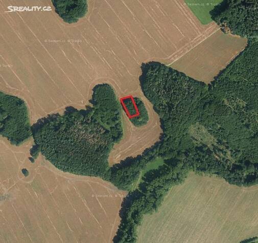 Prodej  lesa 612 m², Heřmanice, okres Havlíčkův Brod
