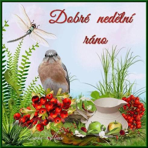 Dobré nedělní ráno