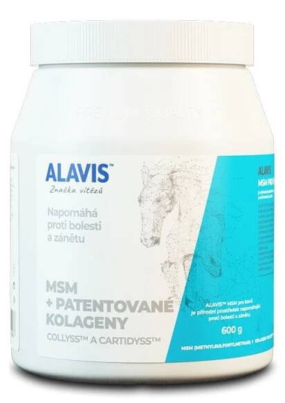 MSM pro koně