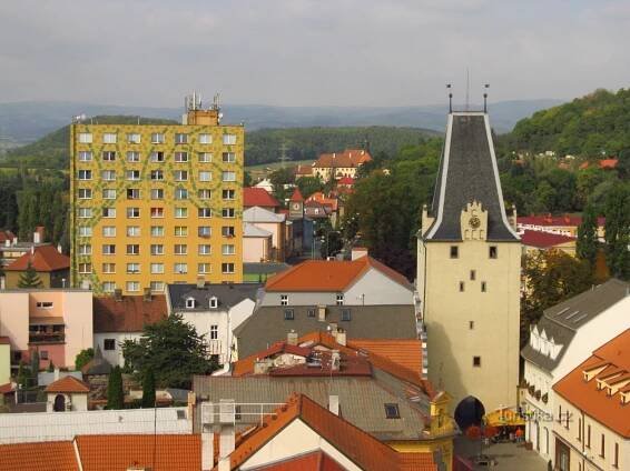 Zelený strom v Kadani